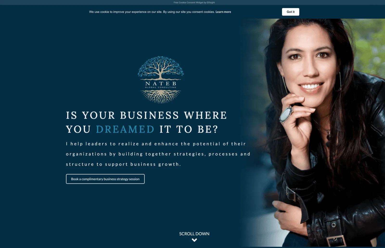 NateB Global Consulting screenshot